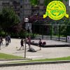 festaprimav2012_3